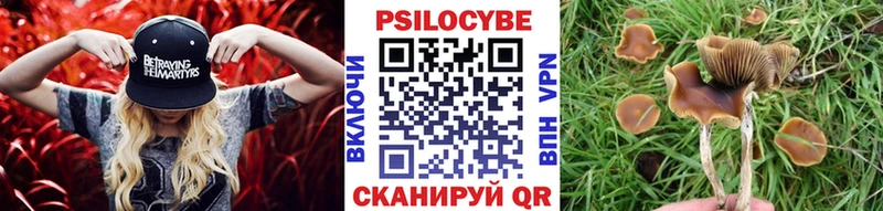 Псилоцибиновые грибы Psilocybe  Щёлково 